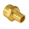 Apollo 1/2 in. Brass PEX-A Barb x 1/2 in. FNPT Female Adapter EPXFA1212 - alternate 3